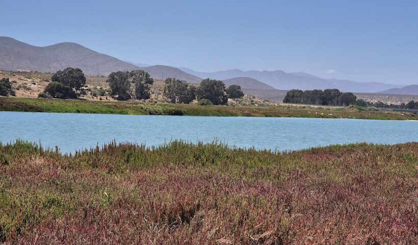 चिली के अटाकामा के स्वच्छ आसमान को राहत(तस्वीर क्रेडिट@Maisa_Rojas)