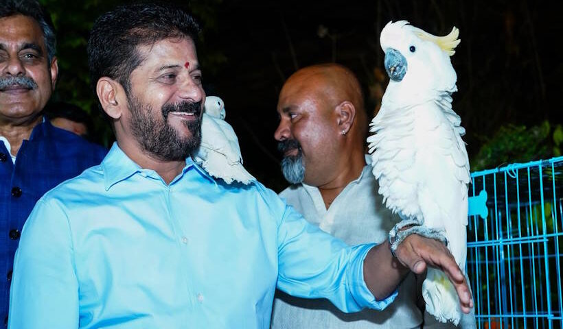 मुख्यमंत्री ए. रेवंत रेड्डी (तस्वीर क्रेडिट@TGRising2047)