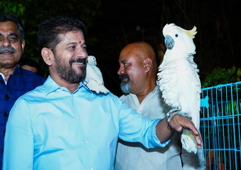 मुख्यमंत्री ए. रेवंत रेड्डी (तस्वीर क्रेडिट@TGRising2047)