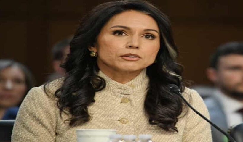 तुलसी गबार्ड (तस्वीर क्रेडिट@NetramDefence)