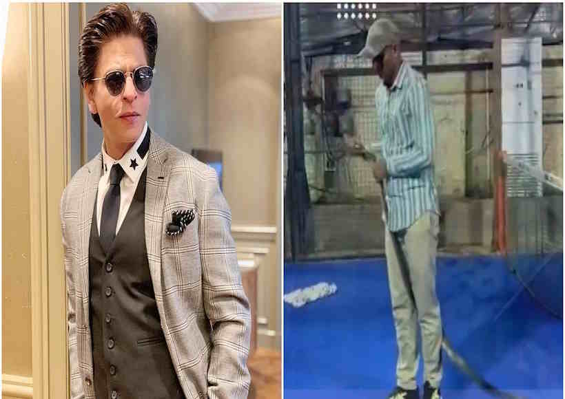 शाहरुख खान के ‘मन्नत’ में दिखे साँप,वन विभाग की टीम ने एक को किया रेस्क्यू (तस्वीर क्रेडिट@DeccanHerald)
