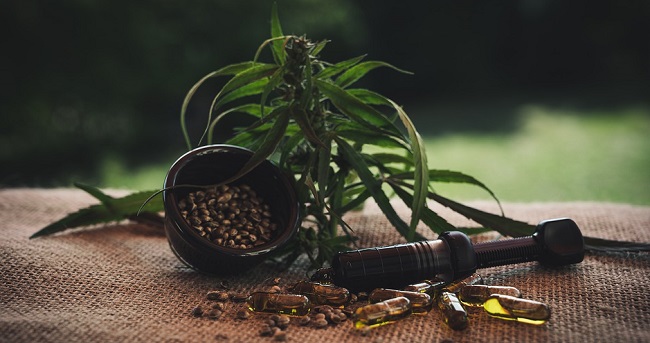 CBD Oil