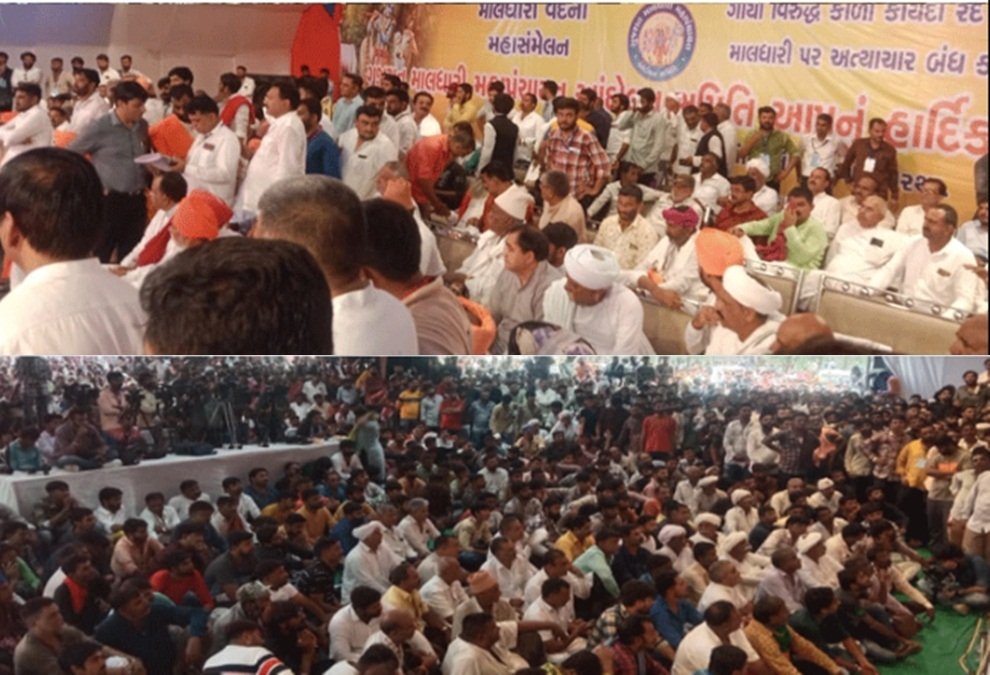:Pastoralists Maldhari Mahapanchayat meeting in Gandhinagar district