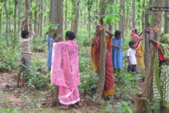 Tribal communities of Mayurbhanj tie rakhis to trees