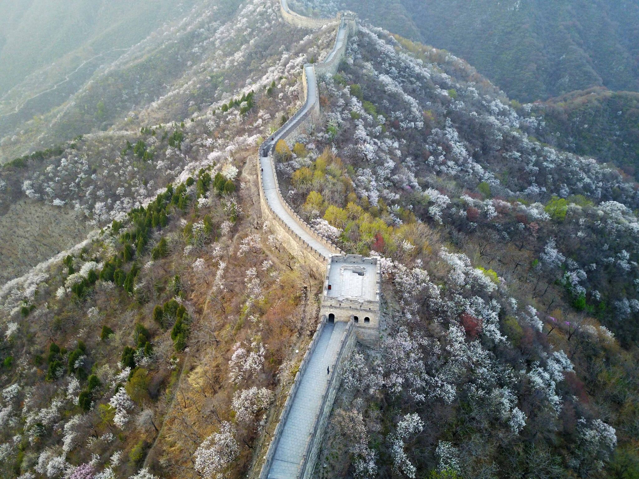 Great Wall