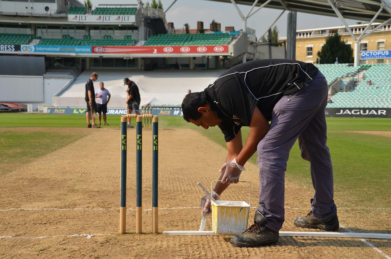 cricket