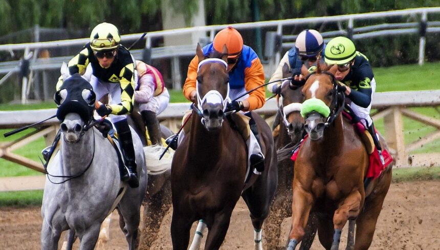 horse race