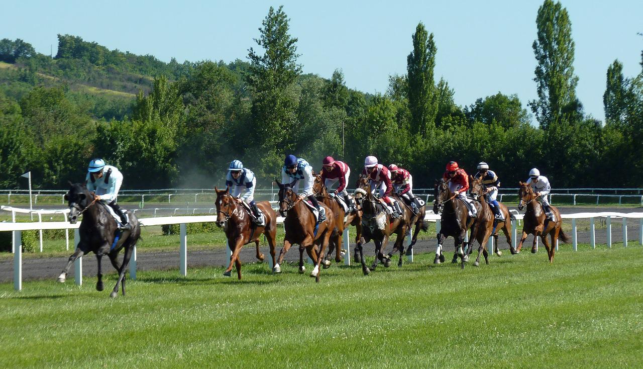 horse racing