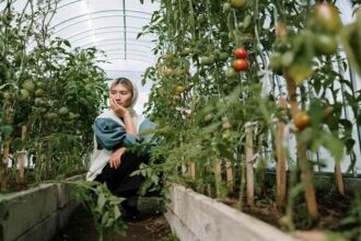 Organic Farming