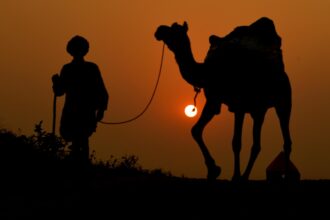 Camel