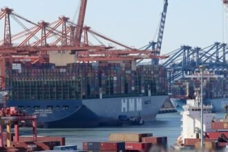 Container ships are loaded with export cargo at Busan New Port