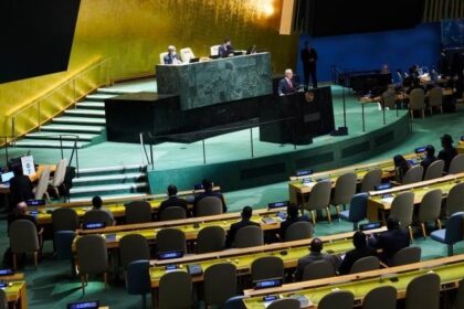 UN General Assembly