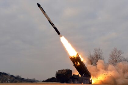 A long-range cruise missile