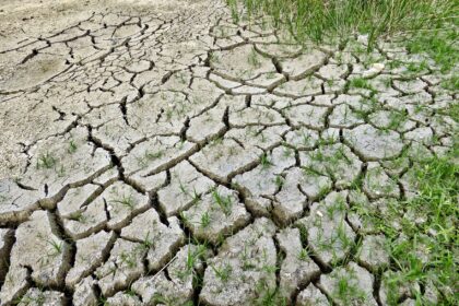 Climate Change