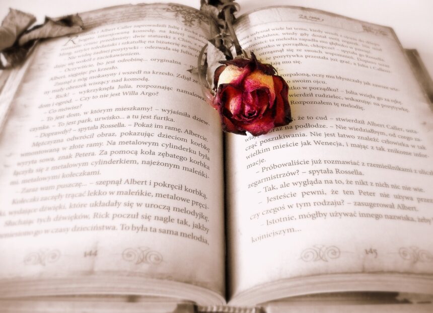 Novel