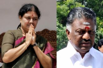 O. Panneerselvam and V.K. Sasikala