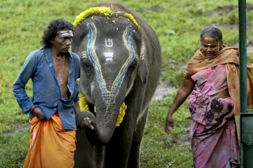 The Elephant Whisperers