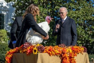US President Joe Biden pardons thanksgiving turkeys