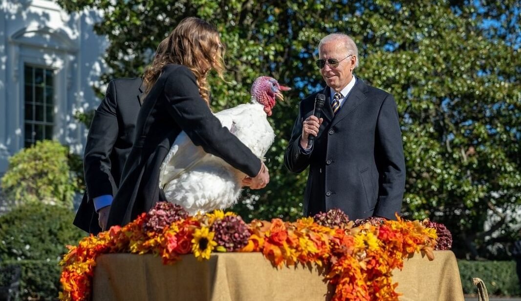US President Joe Biden pardons thanksgiving turkeys
