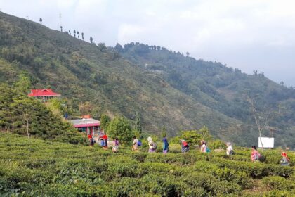 Darjeeling