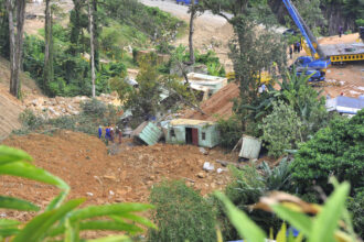 Representational Image: Landslide