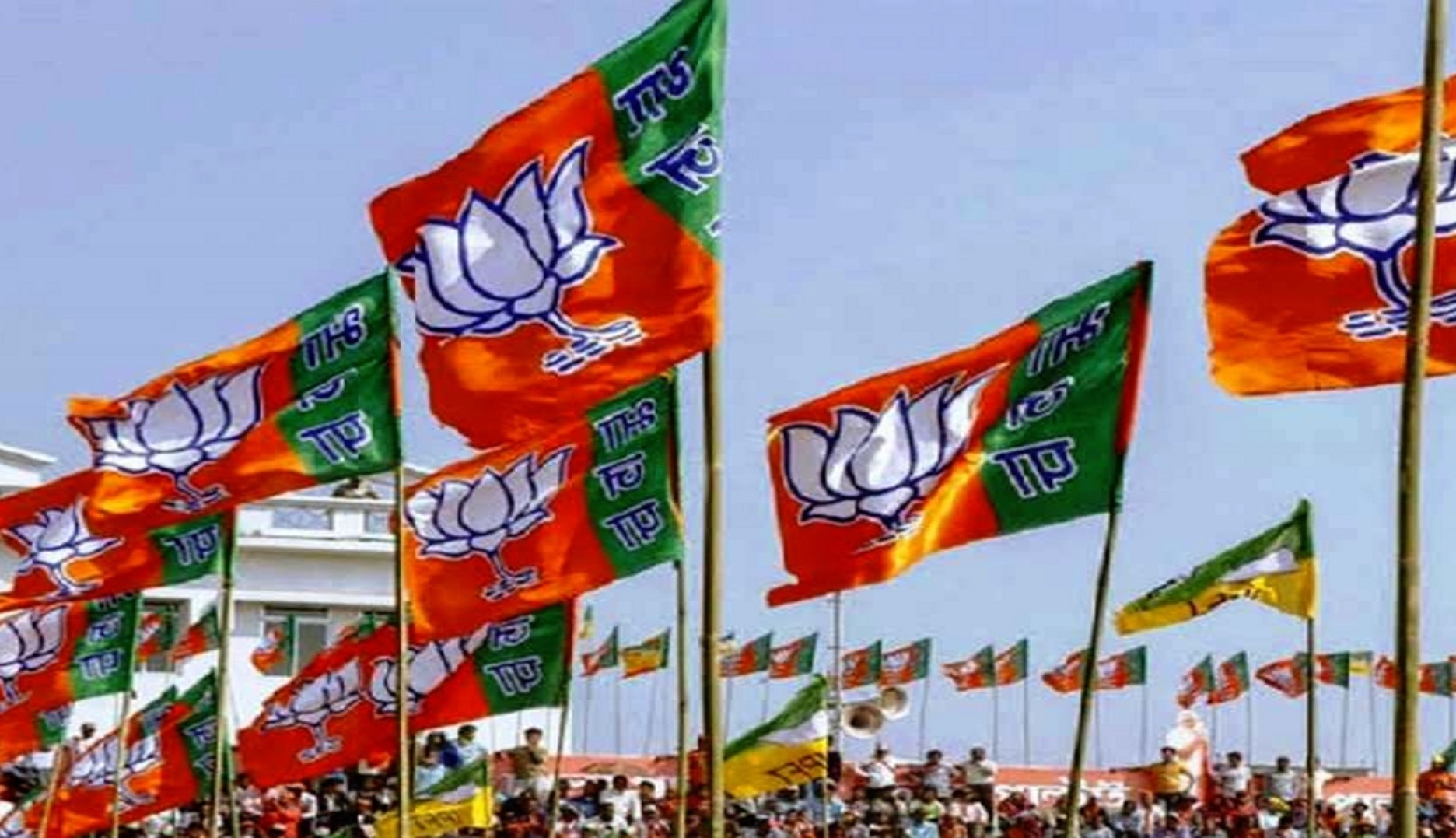 BJP Flag