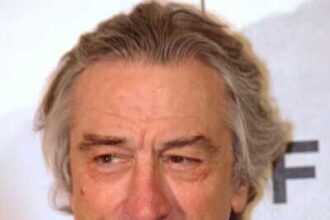 Veteran Hollywood star Robert De Niro
