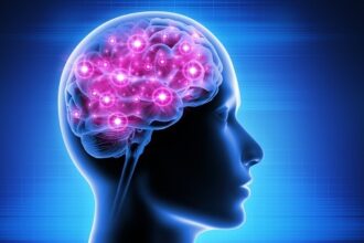 Human brain