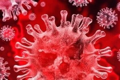 Coronavirus