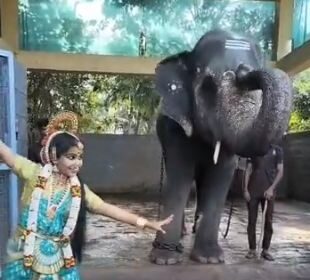 Business magnate Anand Mahindra's latest video from K'taka temple wins hearts