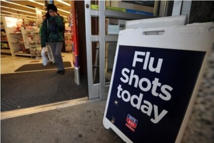 New York state launches online flu tracker