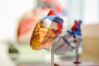 Representational Image: Heart disease