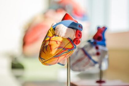 Representational Image: Heart disease