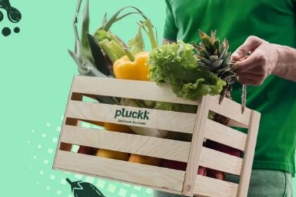 Pluckk basket