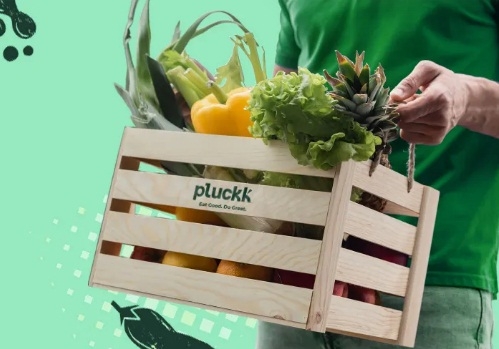 Pluckk basket