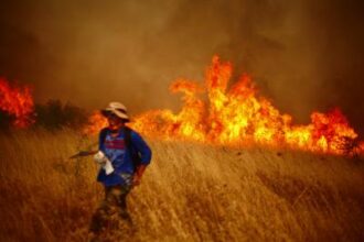Wildfire