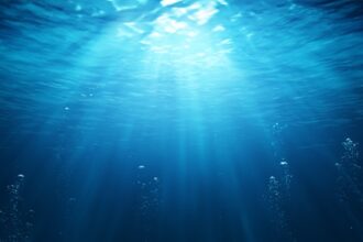 Deep Sea