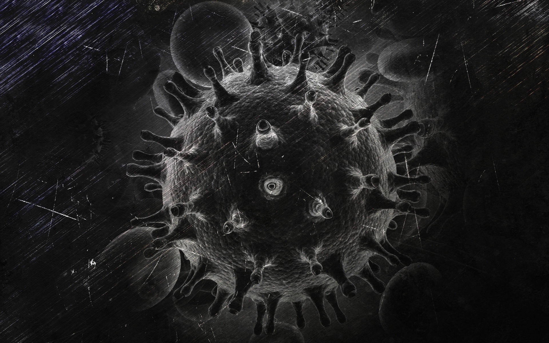 Representational Image: Virus