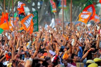BJP Flag