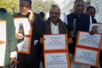 BJP MLAs carry Yamuna