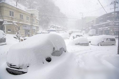 Cars parked on eastern Ulleung Island are covered in snow