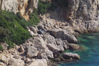Indian-American arrested for 'intentionally' plunging car off cliff
