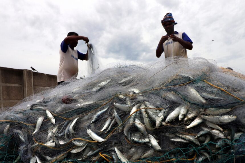 Fishermen