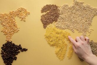 Millet: The old food revolution to our new life