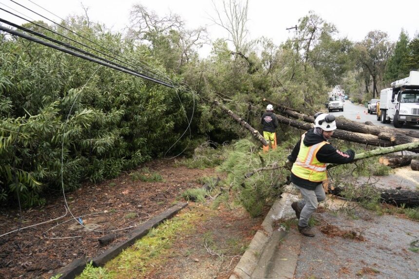 People clear a road blocked by fallen trees