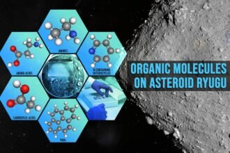 Asteroid Ryugu is organic-rich