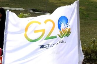 G20
