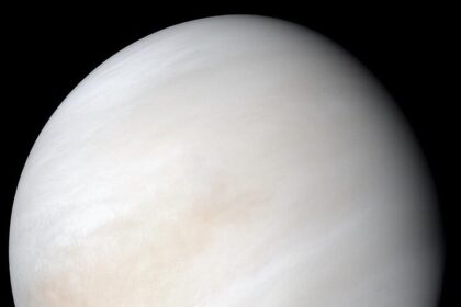 Venus