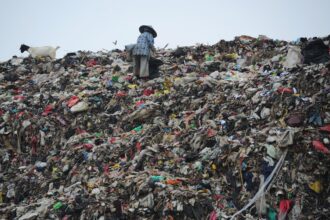 Garbage dump
