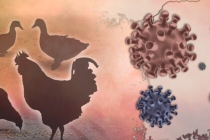 Bird flu
